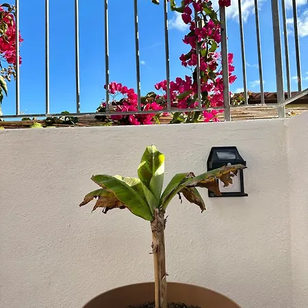 Prázdninový dům Li Cuppulati House